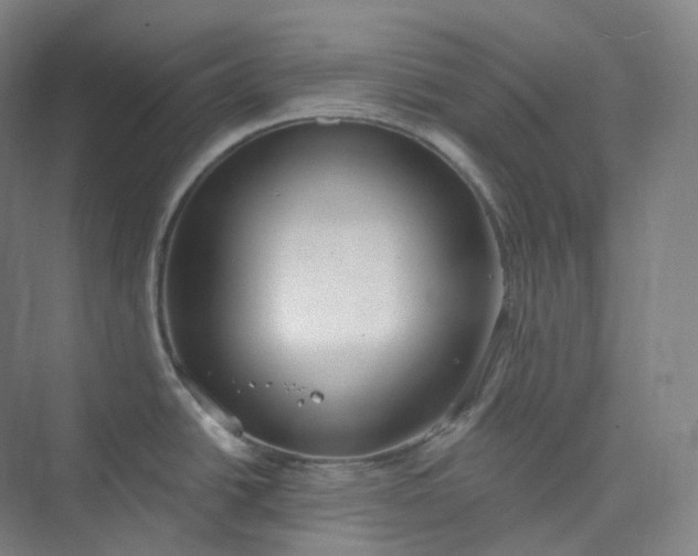 X0000073481438200608140805