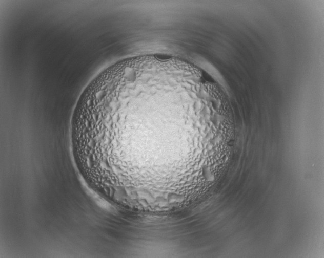 X0000073481439200608140805