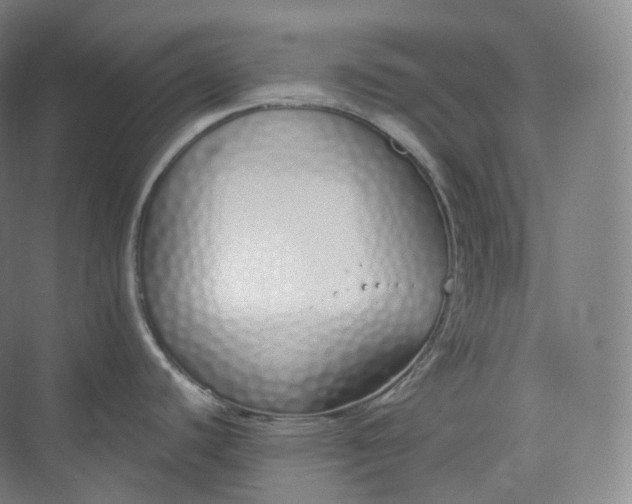 X0000073481440200608140805