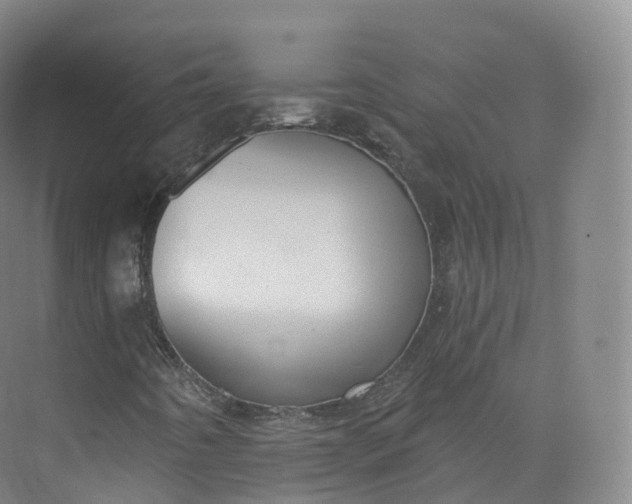 X0000073481442200608140804