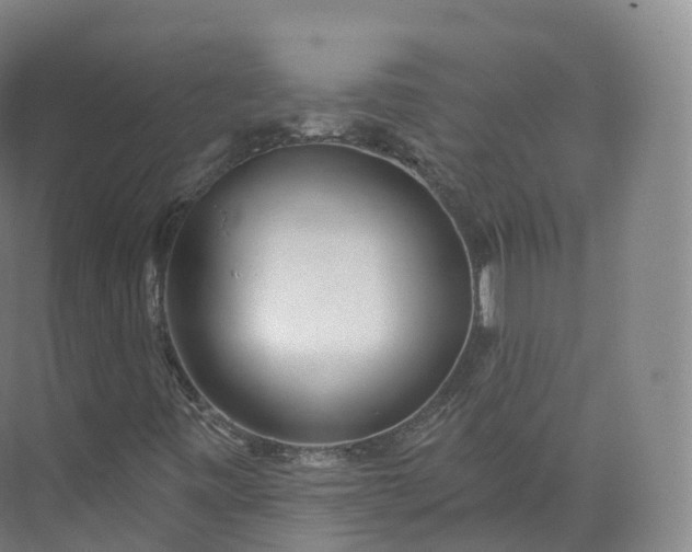 X0000073481443200608140804