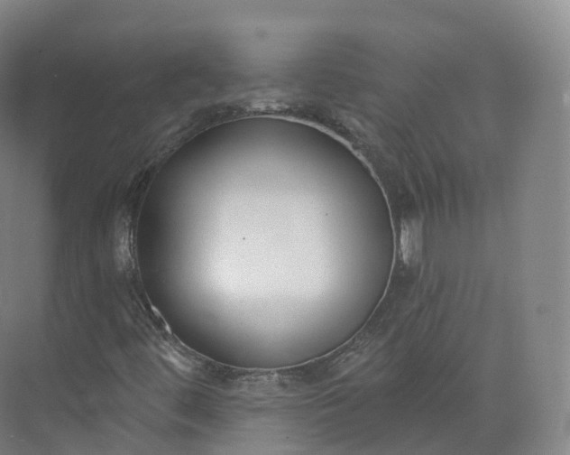 X0000073481444200608140804