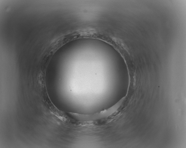 X0000073481445200608140804