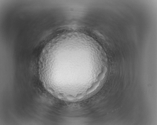 X0000073481446200608140804