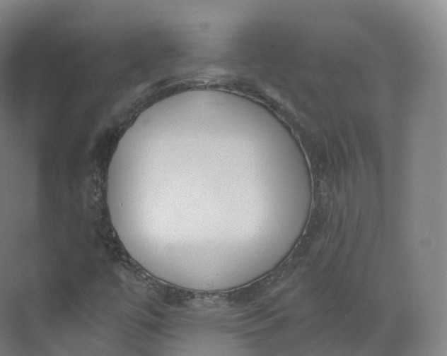 X0000073481447200608140804