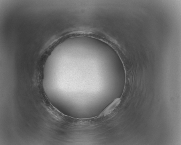 X0000073481448200608140804