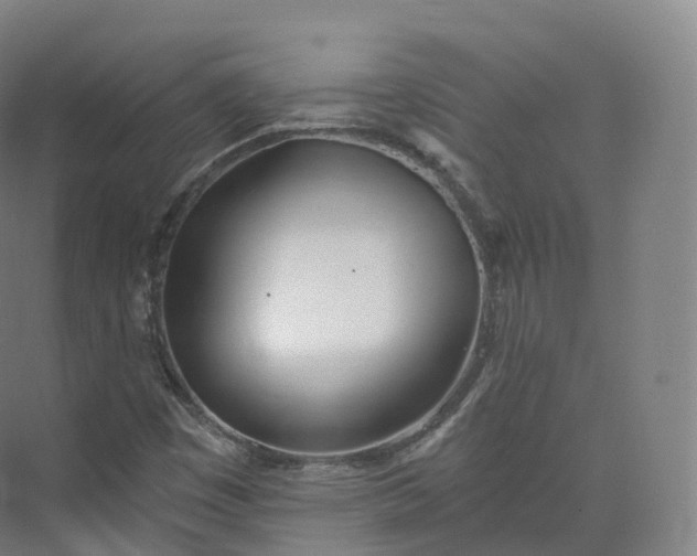 X0000073481449200608140804