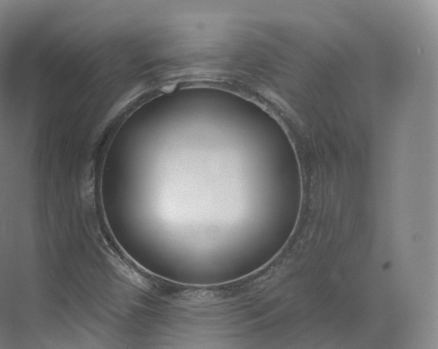 X0000073481450200608140804