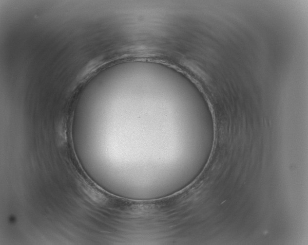 X0000073481451200608140804