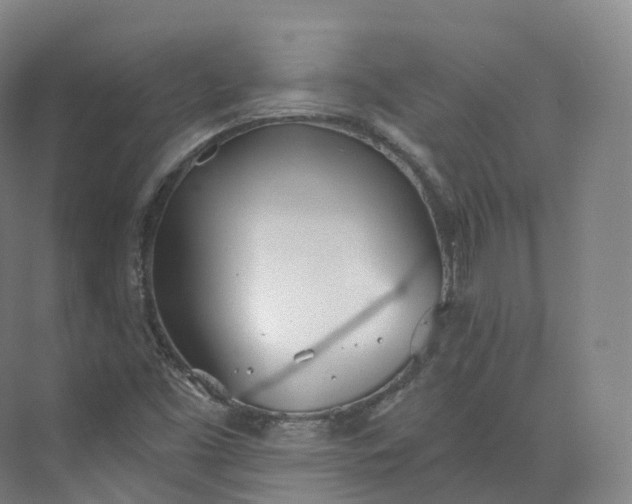 X0000073481453200608140804