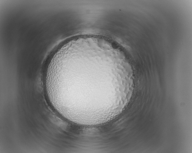 X0000073481454200608140804