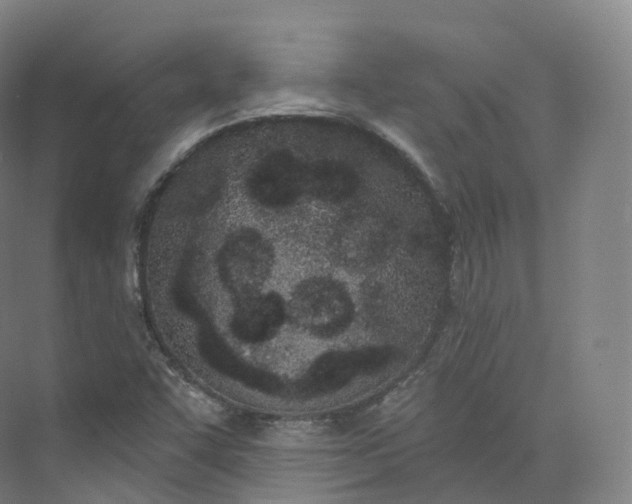 X0000073481455200608140804