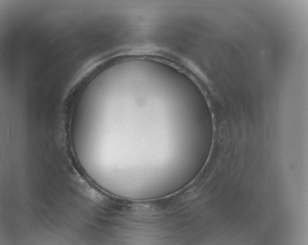 X0000073481456200608140804