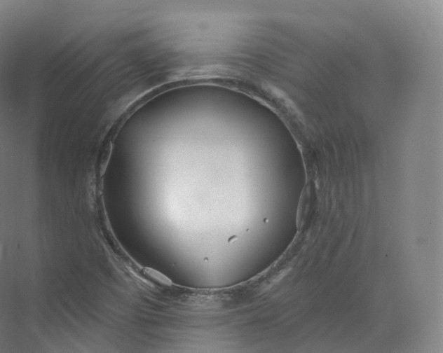 X0000073481457200608140804