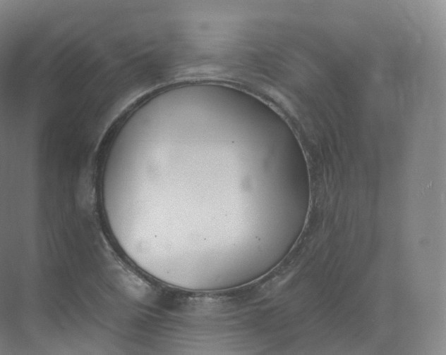 X0000073481458200608140804