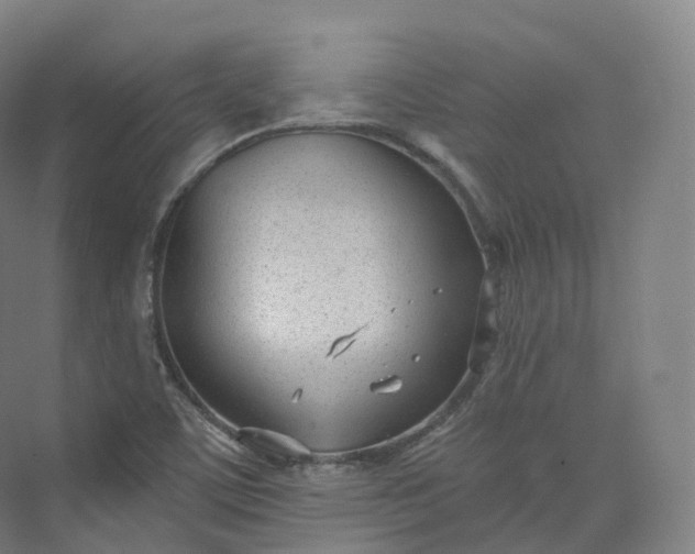 X0000073481459200608140804