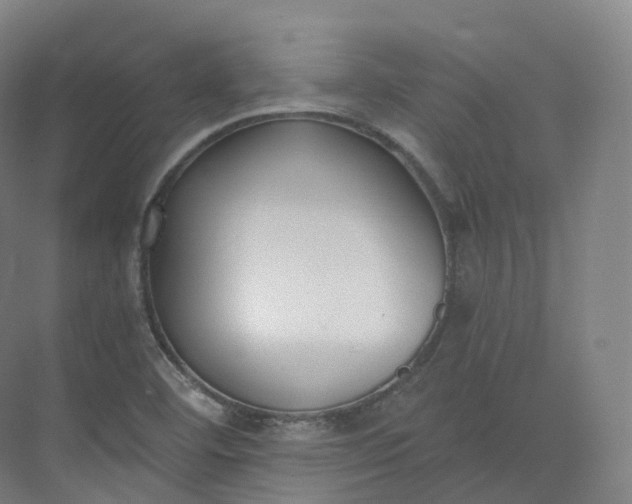 X0000073481460200608140804