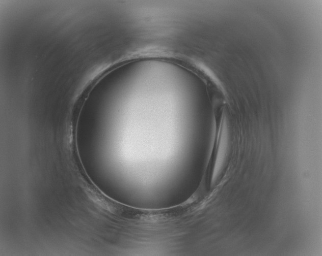 X0000073481461200608140804