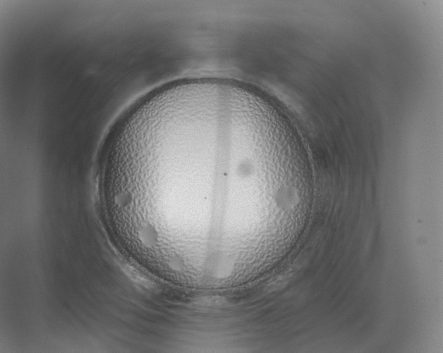 X0000073481462200608140804