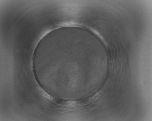 X0000073481463200608140803