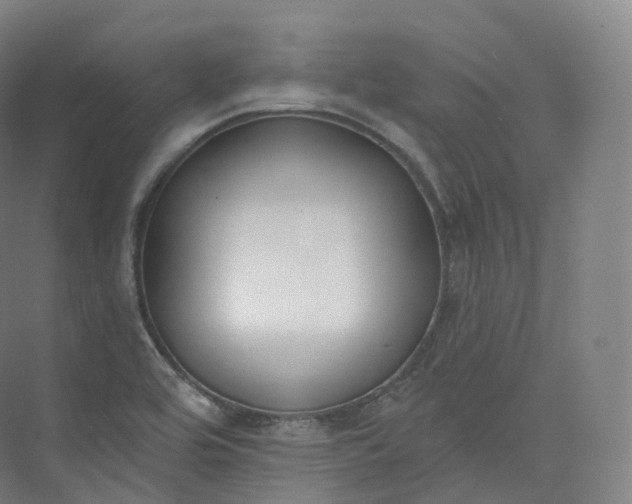 X0000073481464200608140803