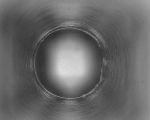 X0000073481465200608140803