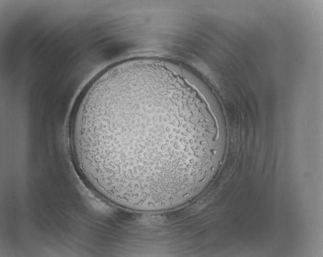 X0000073481466200608140803