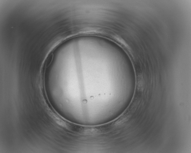 X0000073481467200608140803