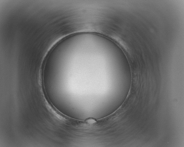 X0000073481468200608140803