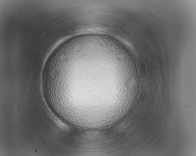 X0000073481470200608140803