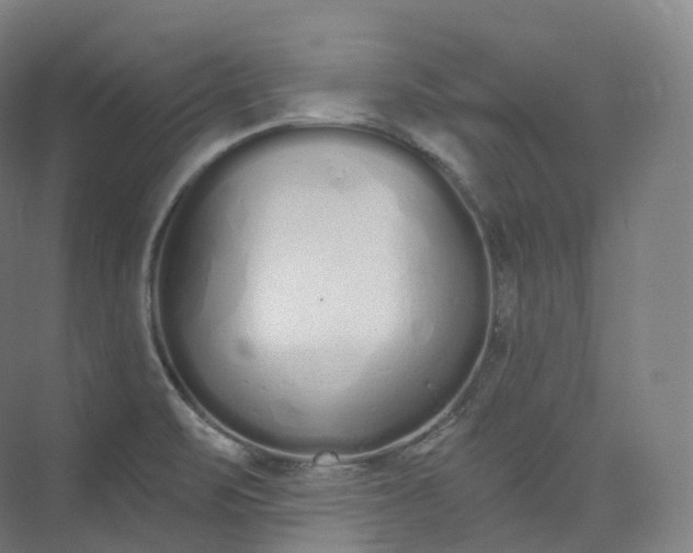 X0000073481471200608140803