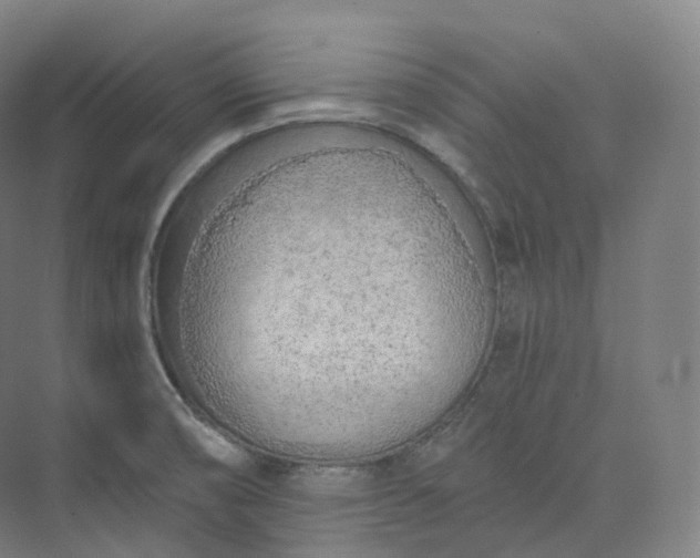 X0000073481474200608140803