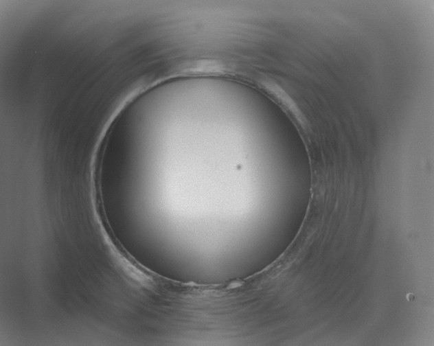 X0000073481475200608140803