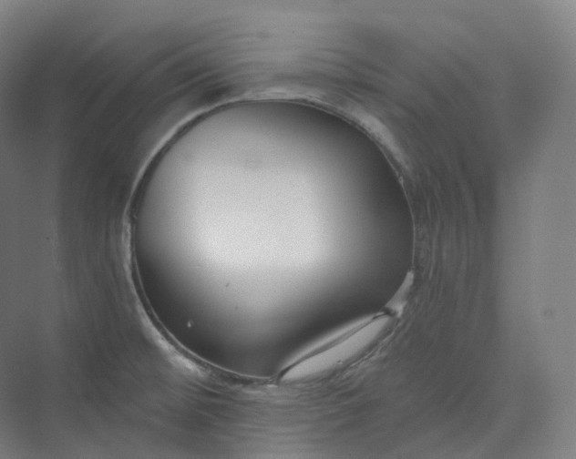 X0000073481476200608140803