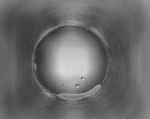 X0000073481477200608140803