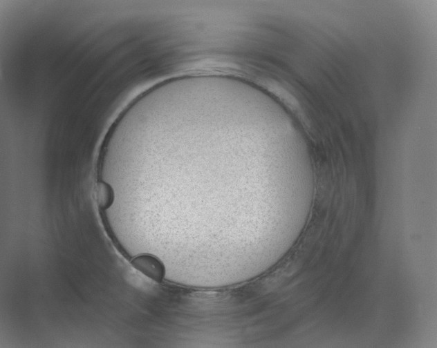 X0000073481478200608140803