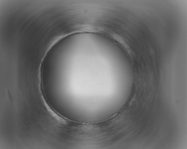 X0000073481479200608140803