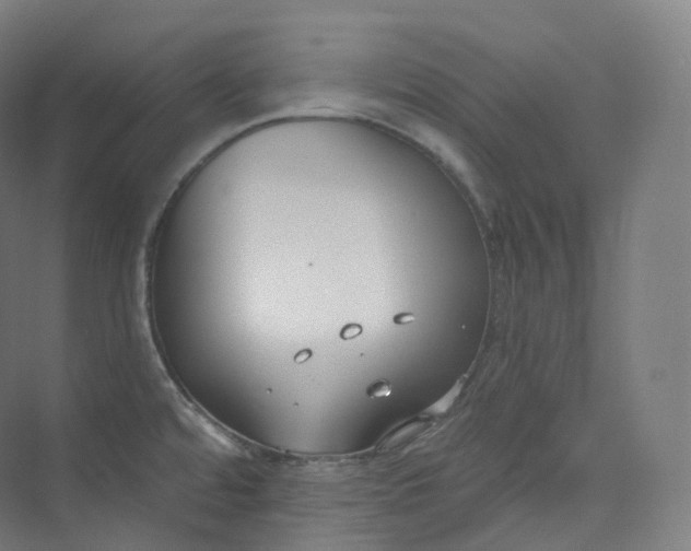 X0000073481480200608140803