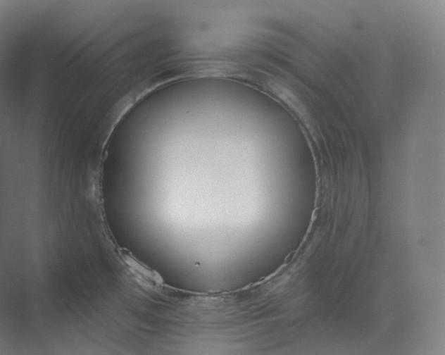 X0000073481481200608140803