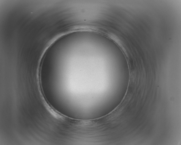 X0000073481482200608140803