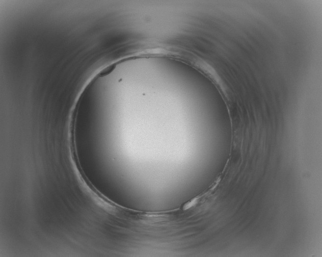 X0000073481483200608140803