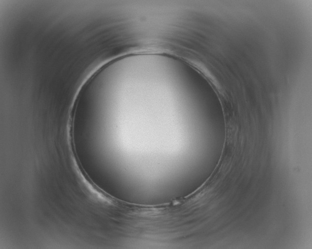 X0000073481484200608140803