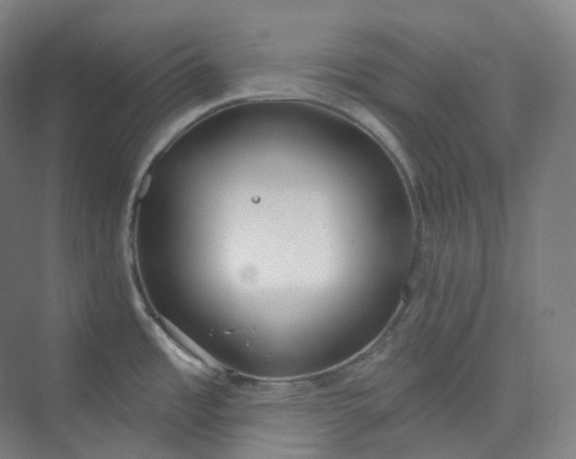 X0000073481485200608140803