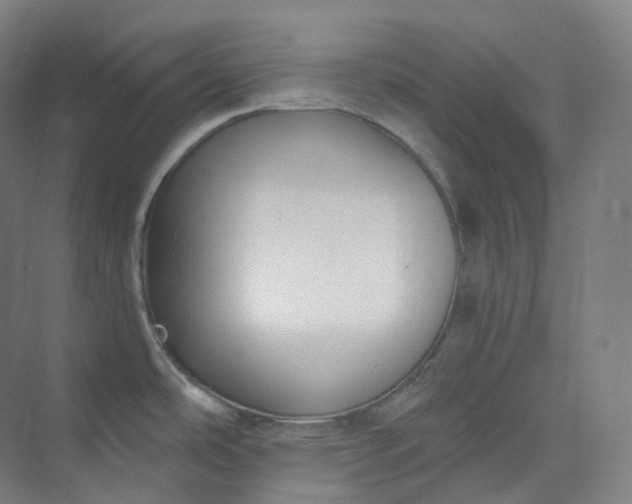 X0000073481486200608140803