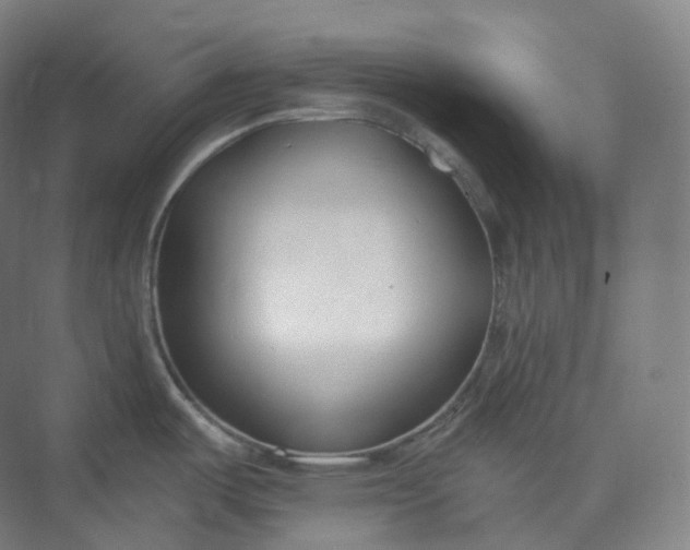 X0000073481487200608140803