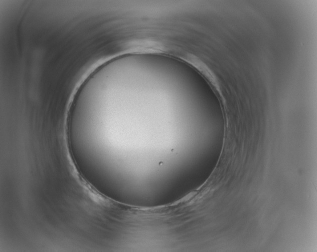 X0000073481488200608140803