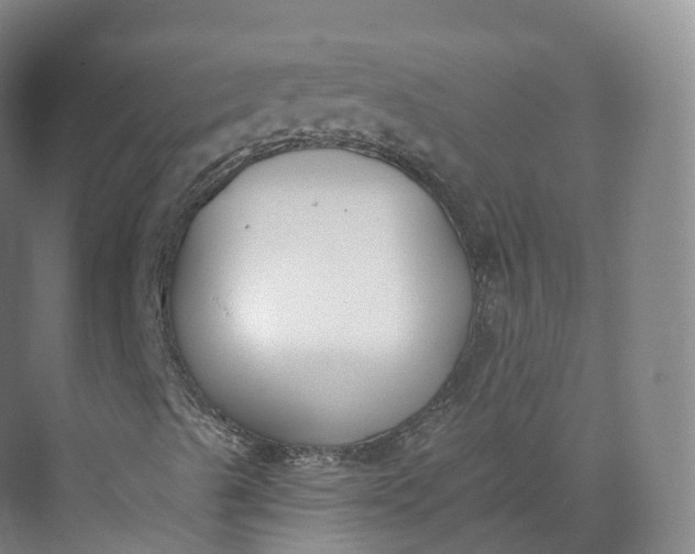 X0000073481489200608140802