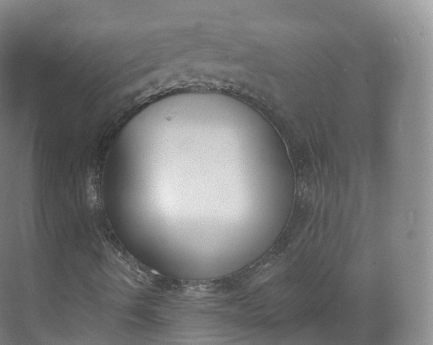 X0000073481490200608140802