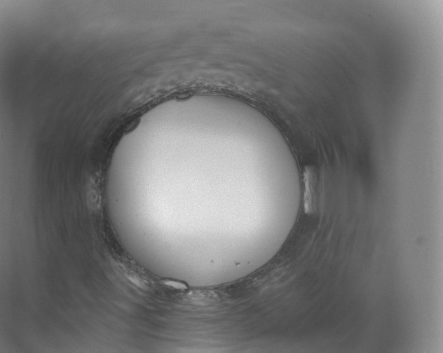 X0000073481491200608140802