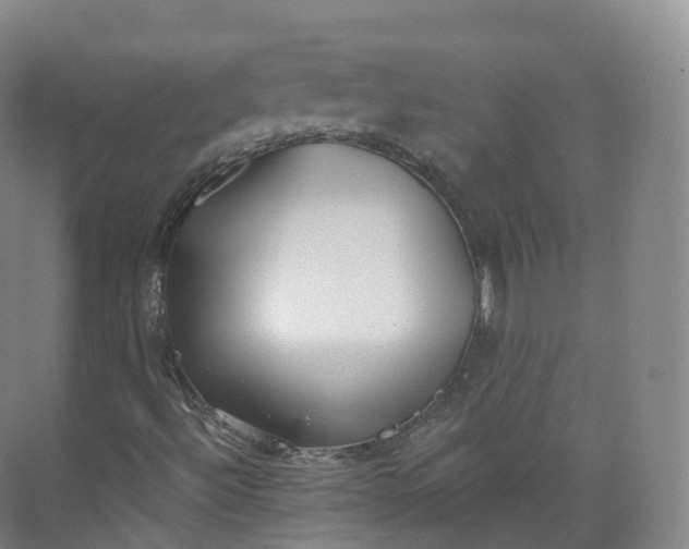 X0000073481492200608140802